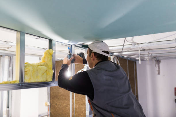 Best Insulation Air Sealing  in Trenton, TN