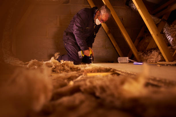 Best Crawl Space Insulation  in Trenton, TN